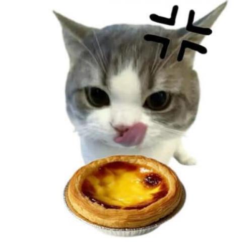 สมาชิกหมายเลข 8916167