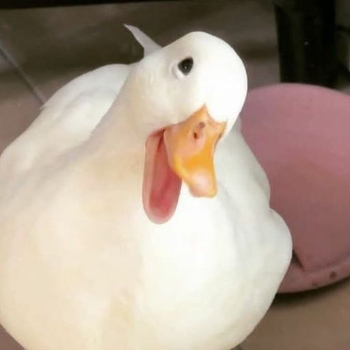 สมาชิกหมายเลข 9333420