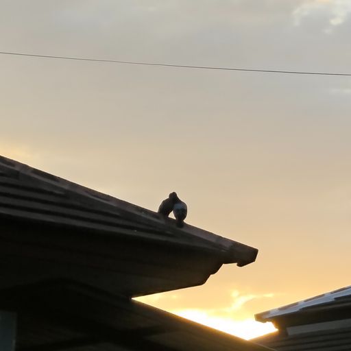 สมาชิกหมายเลข 9333671