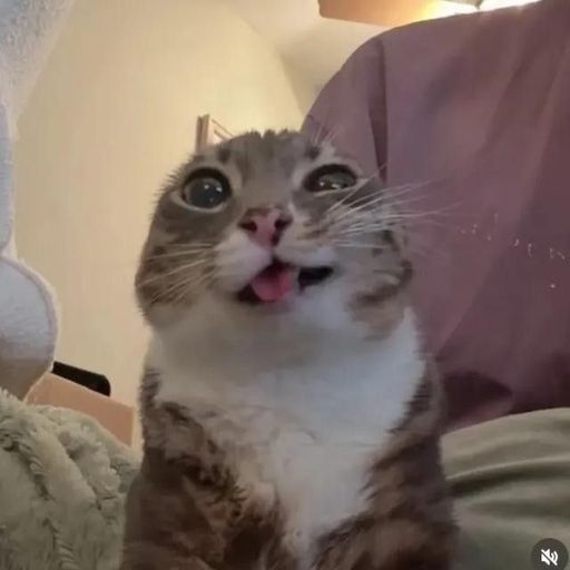 สมาชิกหมายเลข 9334263