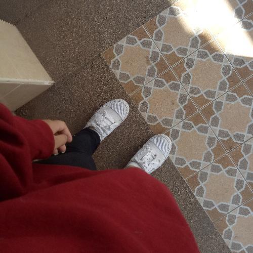 สมาชิกหมายเลข 4111568