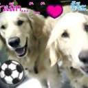 สมาชิกหมายเลข 4846948