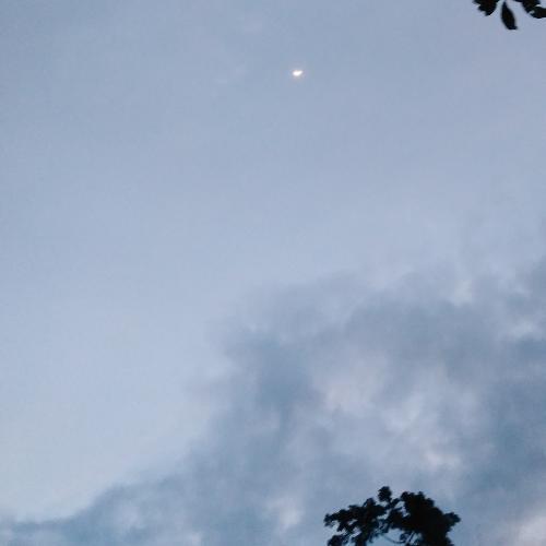 สมาชิกหมายเลข 5345556