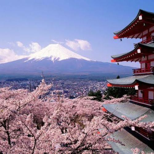 สมาชิกหมายเลข 5499444