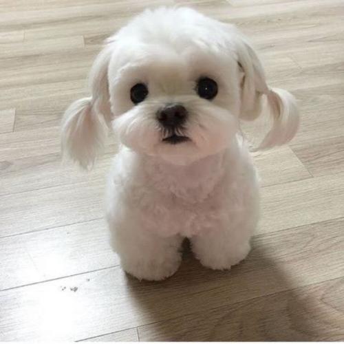 สมาชิกหมายเลข 6424733