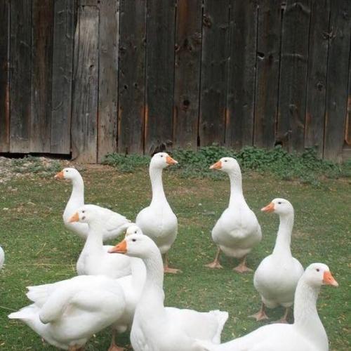 สมาชิกหมายเลข 5891560