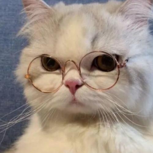 สมาชิกหมายเลข 7118273