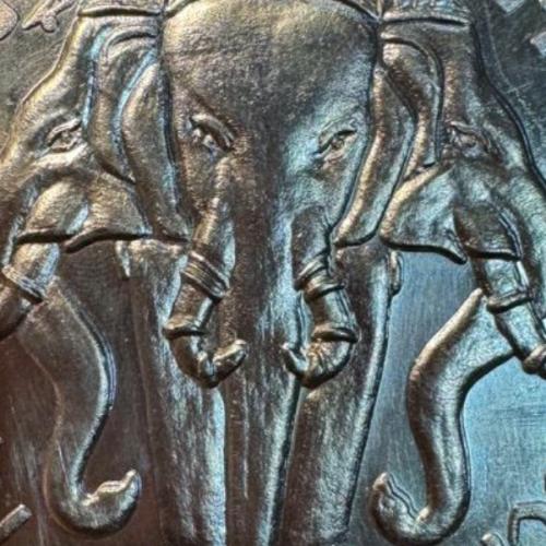 สมาชิกหมายเลข 7850546