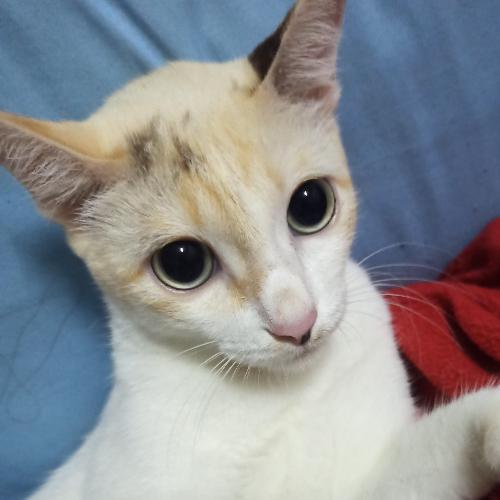 สมาชิกหมายเลข 8226892