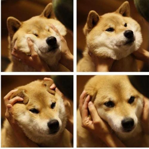 สมาชิกหมายเลข 8915770