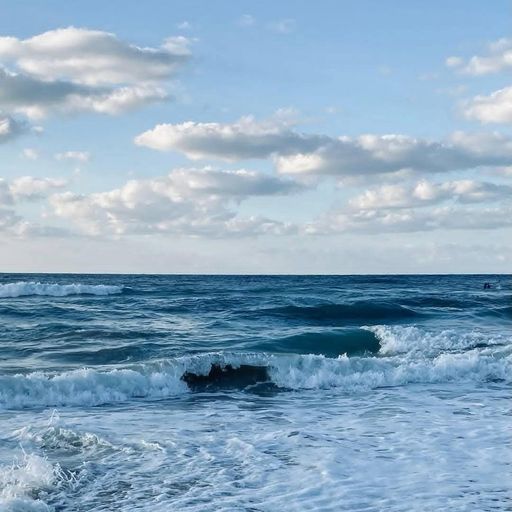 สมาชิกหมายเลข 9335010