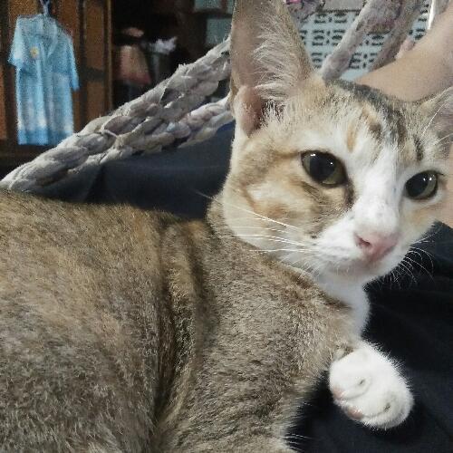 สมาชิกหมายเลข 4941513