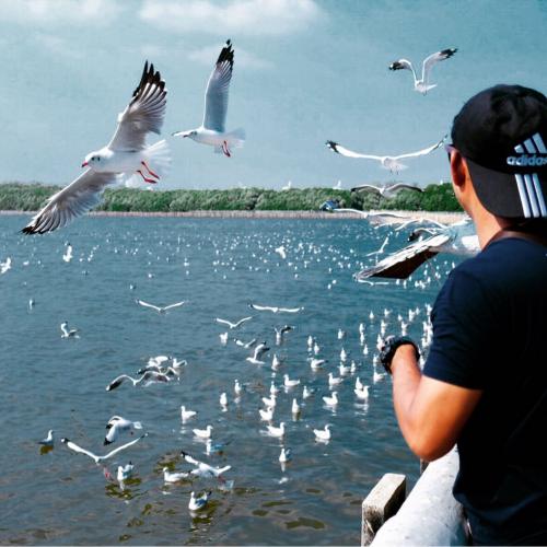 สมาชิกหมายเลข 5341669