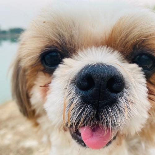 สมาชิกหมายเลข 2846168