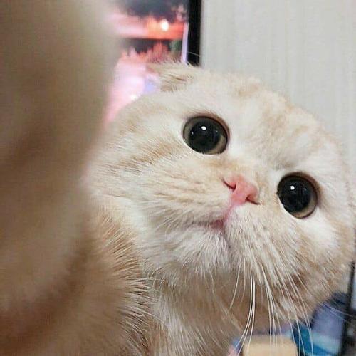 สมาชิกหมายเลข 5491886