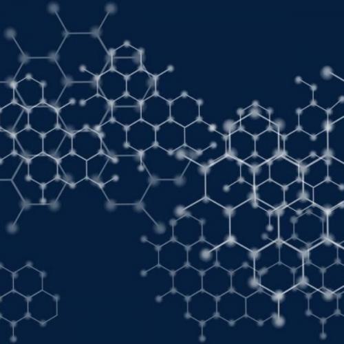 สมาชิกหมายเลข 5408222