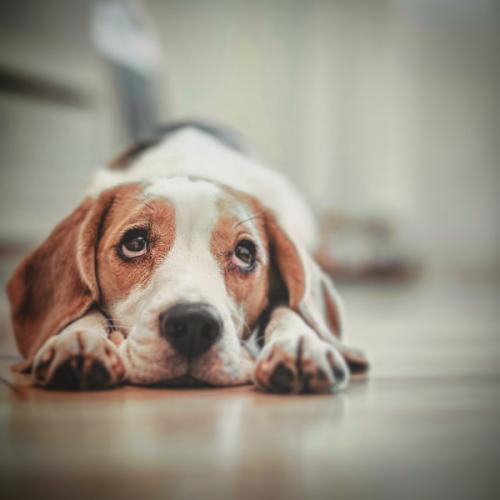 สมาชิกหมายเลข 5679302