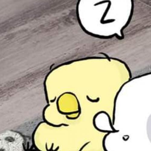 สมาชิกหมายเลข 6425626