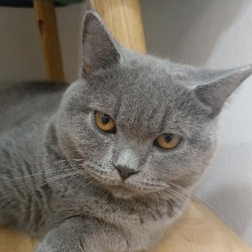 สมาชิกหมายเลข 5239593