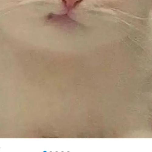 สมาชิกหมายเลข 6574011