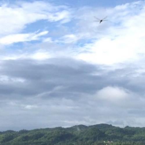 สมาชิกหมายเลข 7117715