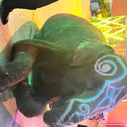 สมาชิกหมายเลข 5813562