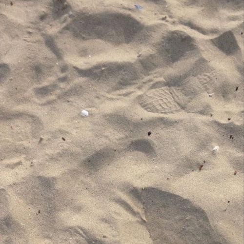 สมาชิกหมายเลข 7904290