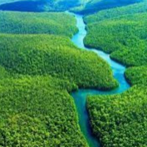 สมาชิกหมายเลข 7904957