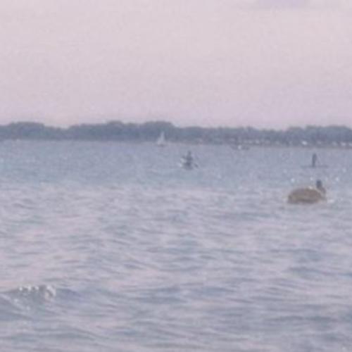 สมาชิกหมายเลข 8919680