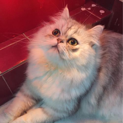 สมาชิกหมายเลข 2207898