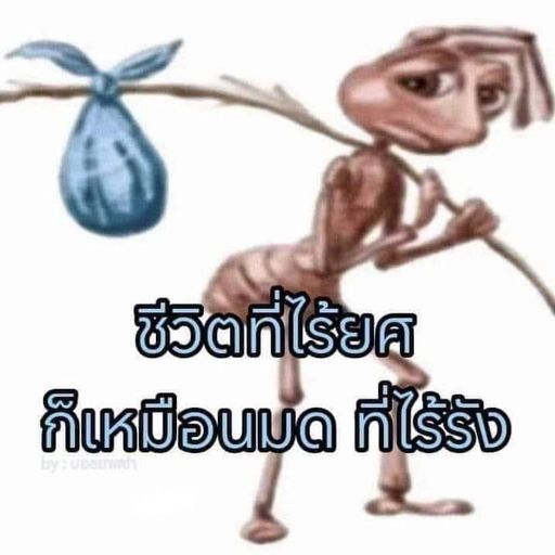 สมาชิกหมายเลข 9323485