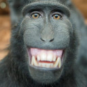 สมาชิกหมายเลข 2594803