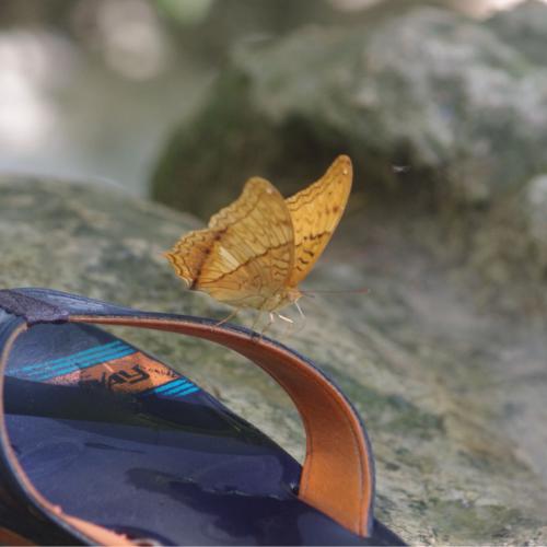 สมาชิกหมายเลข 3700338