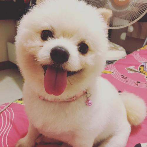 สมาชิกหมายเลข 4948127