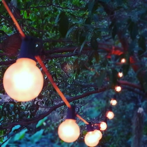 สมาชิกหมายเลข 2255450