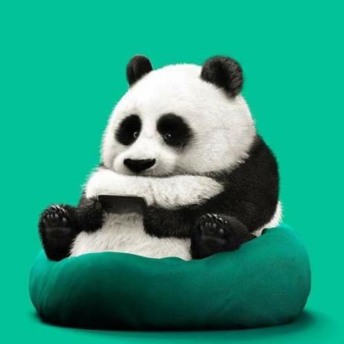 สมาชิกหมายเลข 5002664