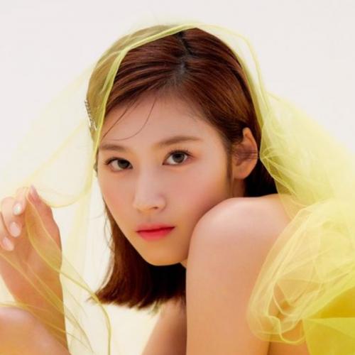 สมาชิกหมายเลข 5010248