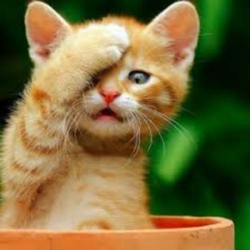 สมาชิกหมายเลข 5805313