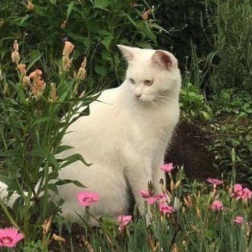 สมาชิกหมายเลข 5810033