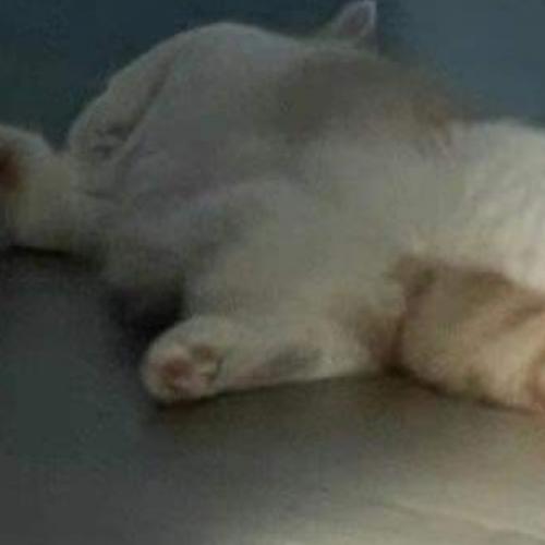 สมาชิกหมายเลข 7119710