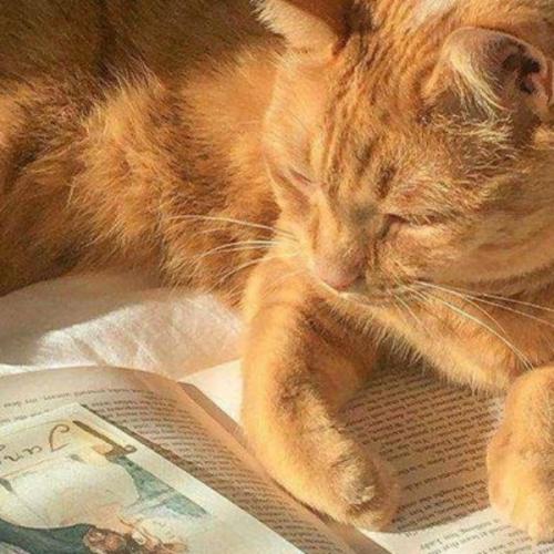 สมาชิกหมายเลข 6049174