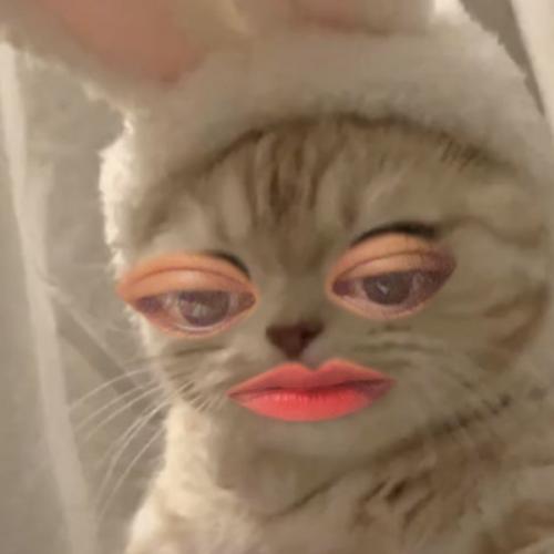 สมาชิกหมายเลข 3217298