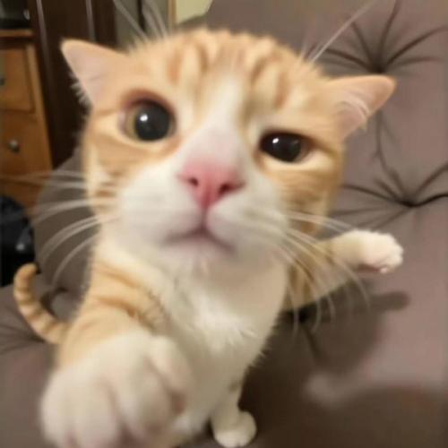 สมาชิกหมายเลข 8920864