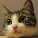 สมาชิกหมายเลข 1833534