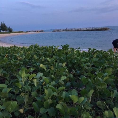 สมาชิกหมายเลข 4199865