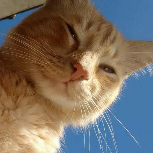 สมาชิกหมายเลข 3322882