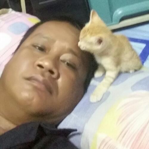 สมาชิกหมายเลข 4057973