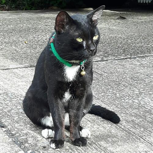 สมาชิกหมายเลข 4576268