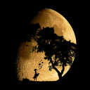 สมาชิกหมายเลข 4599628