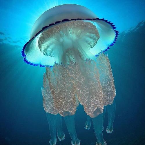 สมาชิกหมายเลข 4340584